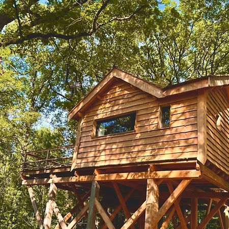 Dolce Et Cabane Berat Exteriör bild